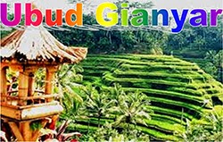 TANAH DIJUAL MURAH DI UBUD BALI