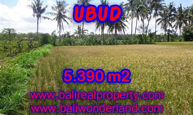 Tanah dijual di Ubud Bali