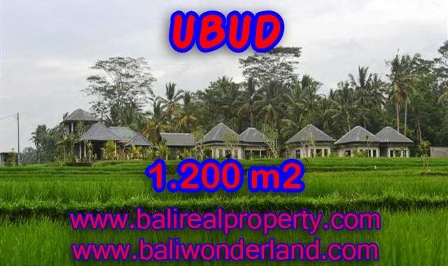 DIJUAL TANAH DI UBUD BALI CUMA RP 3.850.000 / M2