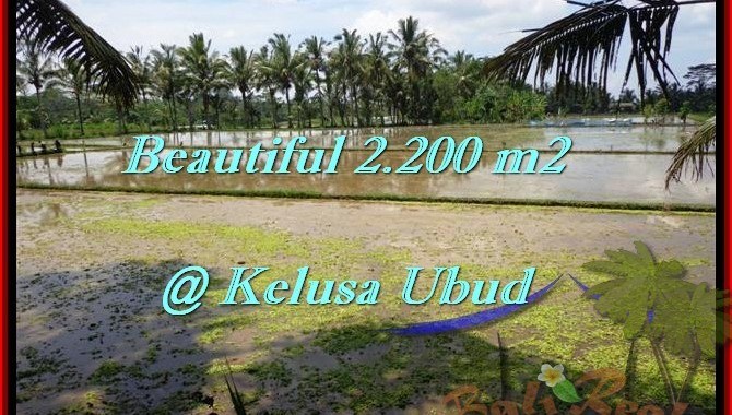INVESTASI PROPERTY, JUAL MURAH TANAH di UBUD BALI TJUB475
