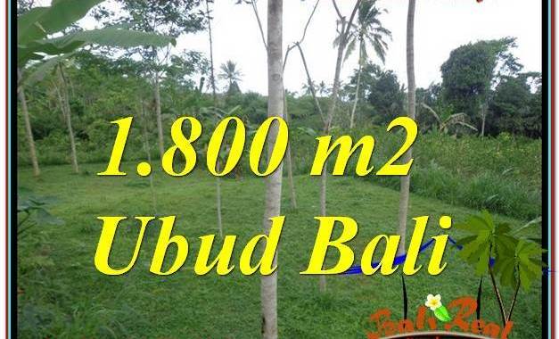TANAH DIJUAL di UBUD TJUB610