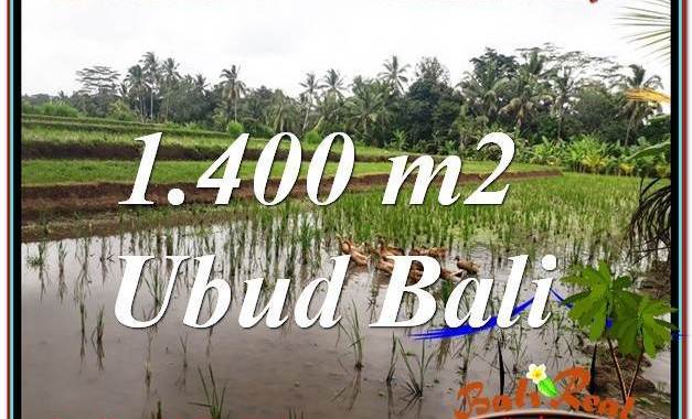 JUAL TANAH MURAH di UBUD 1,400 m2 View Sawah