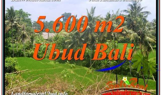 TANAH DIJUAL MURAH di UBUD BALI Untuk INVESTASI TJUB636