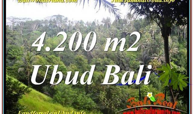 JUAL TANAH MURAH di UBUD Untuk INVESTASI TJUB639