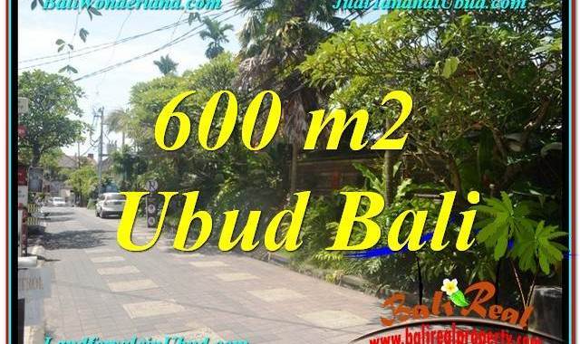 TANAH JUAL MURAH UBUD 600 m2 Kawasan Hotel, Villa dan Restaurant