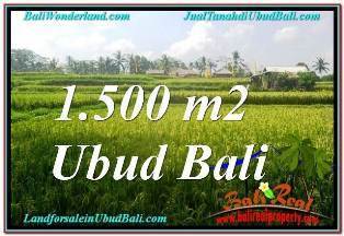JUAL MURAH TANAH di UBUD BALI 15 Are VIEW SAWAH, LINGKUNGAN VILLA