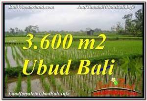 JUAL TANAH di UBUD Untuk INVESTASI TJUB673