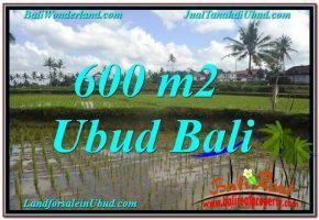 INVESTASI PROPERTI, DIJUAL TANAH MURAH di UBUD BALI TJUB621