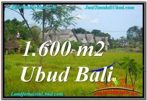 TANAH di UBUD DIJUAL MURAH Untuk INVESTASI TJUB633