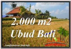 TANAH di UBUD DIJUAL MURAH Untuk INVESTASI TJUB669