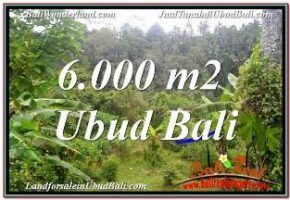 TANAH di UBUD DIJUAL MURAH Untuk INVESTASI TJUB682