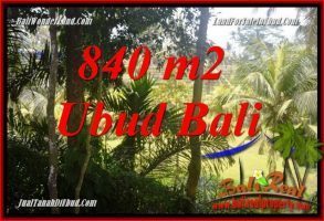 Tanah Murah di Ubud Bali Dijual 8 Are di Lod Tunduh