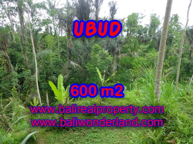 Jual tanah di Ubud