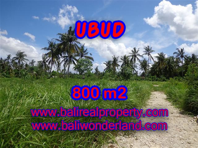 Jual tanah di Ubud