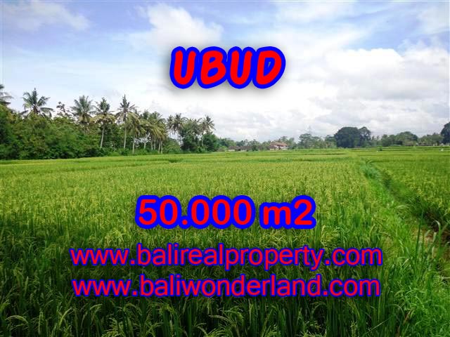 Jual tanah di Ubud