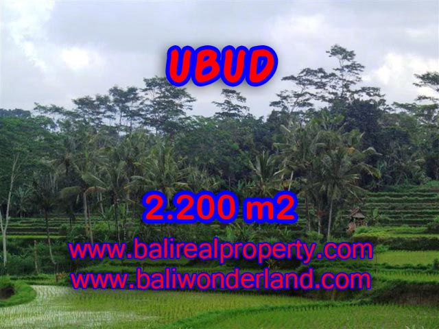 Tanah di Ubud Bali dijual view sawah dan gunung murah di Ubud Payangan