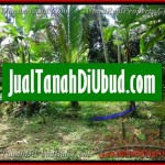 1 Jual Tanah Murah di Ubud Bali