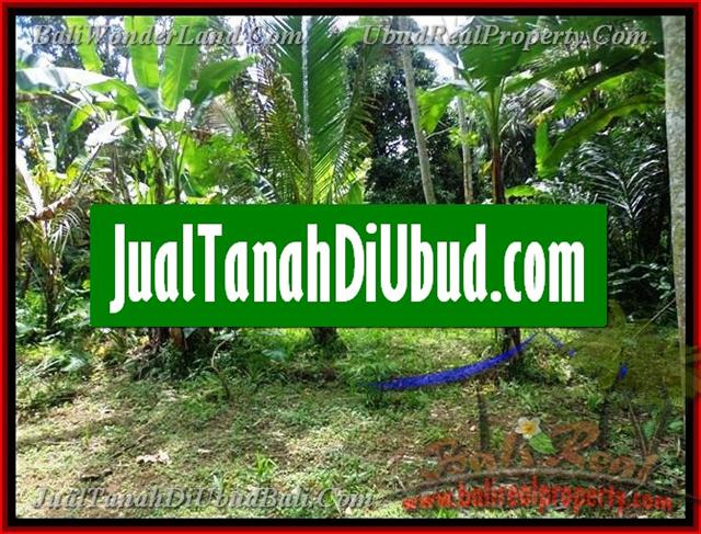 1 Jual Tanah Murah di Ubud Bali