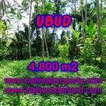 DIJUAL TANAH MURAH DI UBUD - LAND FOR SALE IN UBUD BALI