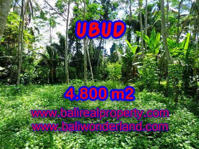 DIJUAL TANAH MURAH DI UBUD - LAND FOR SALE IN UBUD BALI