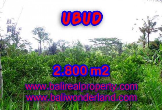 Jual Tanah murah di UBUD TJUB375 - Kesempatan investasi property di Bali