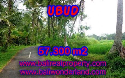 TANAH DIJUAL DI BALI, MURAH DI UBUD RP 1.850.000 / M2 - TJUB377