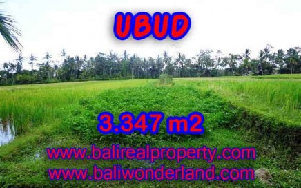 TANAH DIJUAL DI UBUD