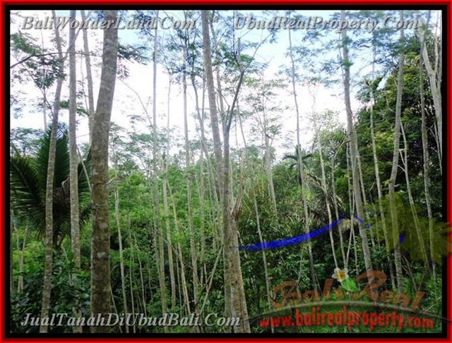 TJUB382 - JUAL TANAH DI UBUD ( Land for sale ) di Ubud Bali 02