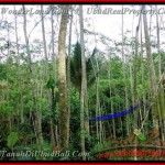 TJUB382 - Tanah dijual ( Land for sale ) di Ubud Bali 01