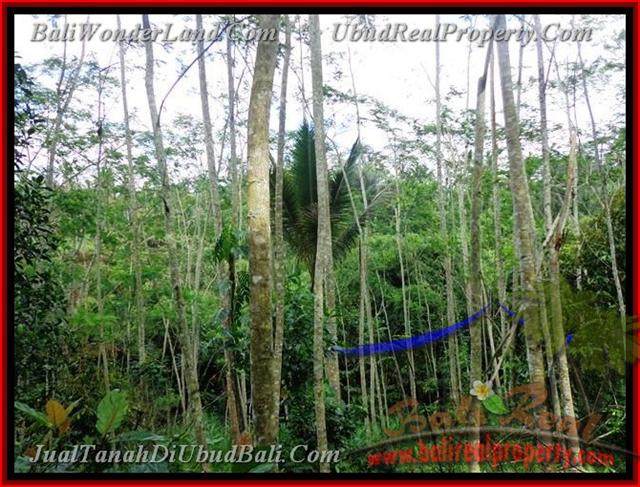 TJUB382 - Tanah dijual ( Land for sale ) di Ubud Bali 01