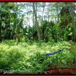 TJUB382 - Tanah dijual ( Land for sale ) di Ubud Bali 04