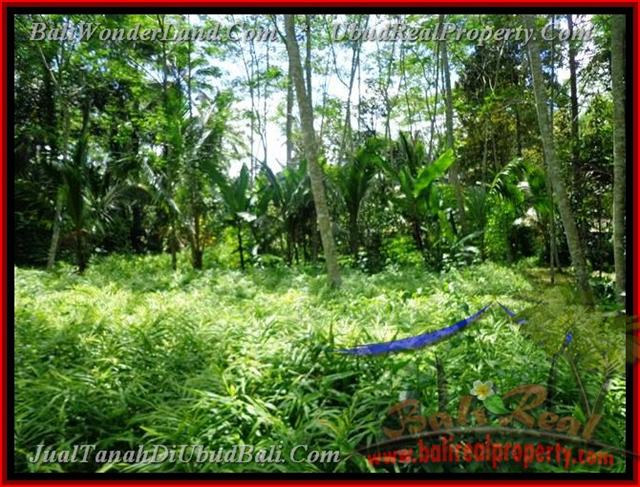 TJUB382 - Tanah dijual ( Land for sale ) di Ubud Bali 04