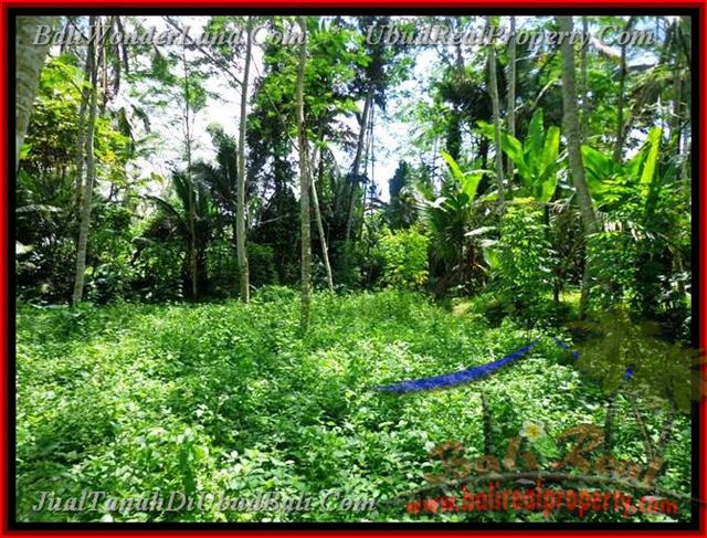 TJUB382 - Tanah dijual ( Land for sale ) di Ubud Bali 05