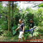 TJUB382 - Tanah dijual ( Land for sale ) di Ubud Bali 06