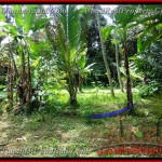 TJUB382 - Tanah dijual ( Land for sale ) di Ubud Bali 07