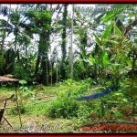 TJUB382 - Tanah dijual ( Land for sale ) di Ubud Bali 08