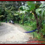 TJUB382 - Tanah dijual ( Land for sale ) di Ubud Bali 09