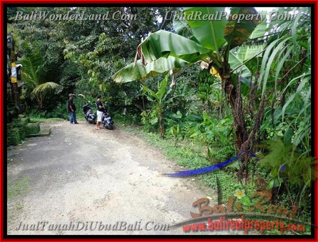 TJUB382 - Tanah dijual ( Land for sale ) di Ubud Bali 09