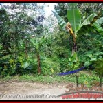 TJUB382 - Tanah dijual ( Land for sale ) di Ubud Bali 10