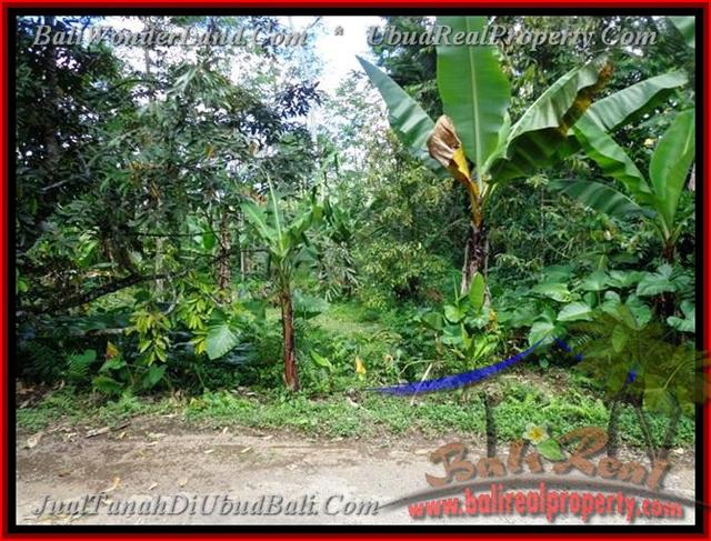 TJUB382 - Tanah dijual ( Land for sale ) di Ubud Bali 10