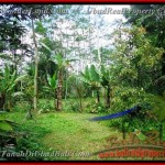 TJUB382 - Tanah dijual ( Land for sale ) di Ubud Bali 11