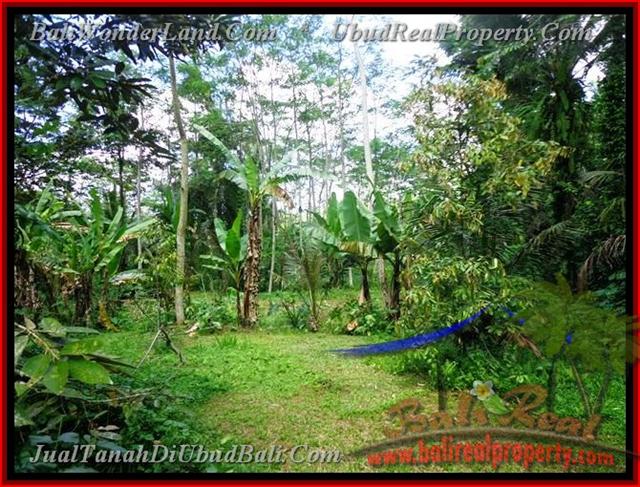 TJUB382 - Tanah dijual ( Land for sale ) di Ubud Bali 11