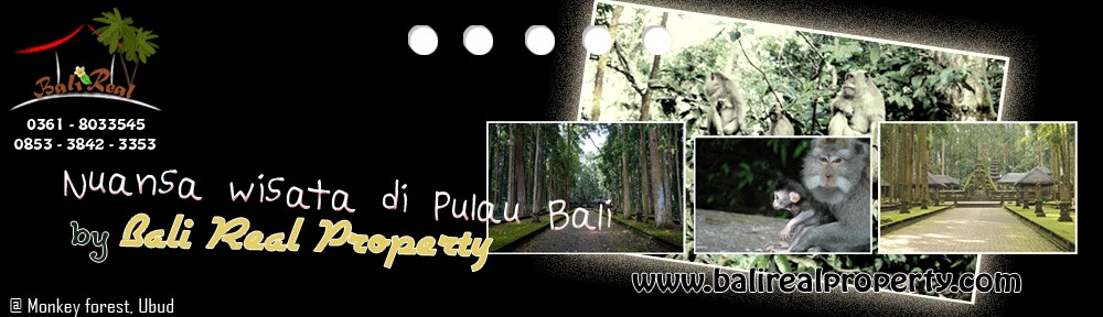 Tanah Murah di  Ubud  Bali Jual  Tanah di  Ubud 