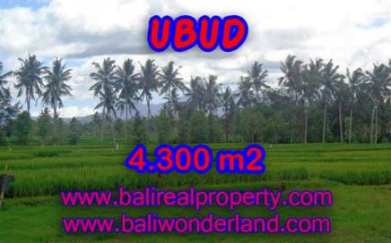 TANAH DI UBUD MURAH DIJUAL TJUB370 - INVESTASI PROPERTY DI BALI