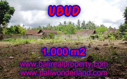 TANAH MURAH DIJUAL DI UBUD BALI TJUB373 - PELUANG INVESTASI PROPERTY DI BALI