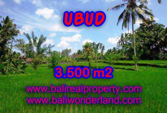 PELUANG INVESTASI PROPERTI DI BALI - TANAH DI UBUD DIJUAL TJUB388