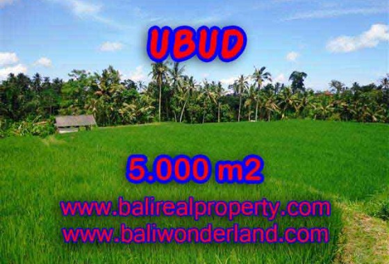 DIJUAL TANAH MURAH DI UBUD BALI TJUB389