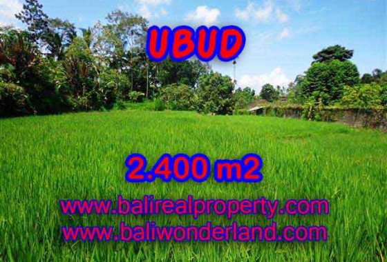 DIJUAL MURAH TANAH DI UBUD BALI TJUB390 - PELUANG INVESTASI PROPERTY DI BALI