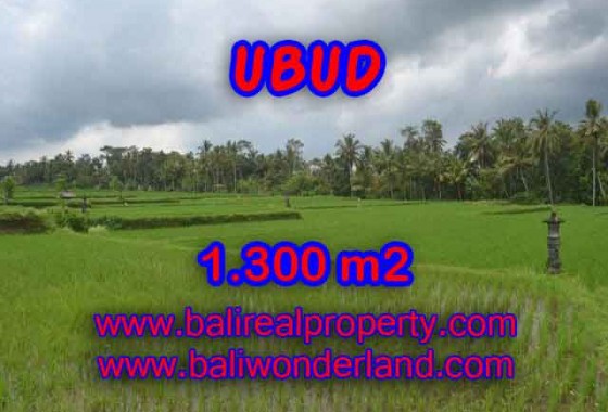 DIJUAL TANAH DI UBUD BALI MURAH TJUB394 - INVESTASI PROPERTY DI BALI