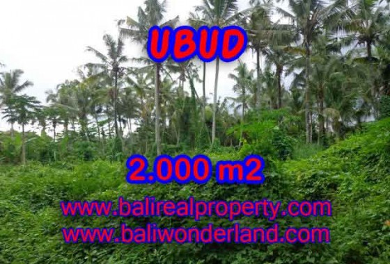 TANAH DIJUAL DI UBUD BALI TJUB397